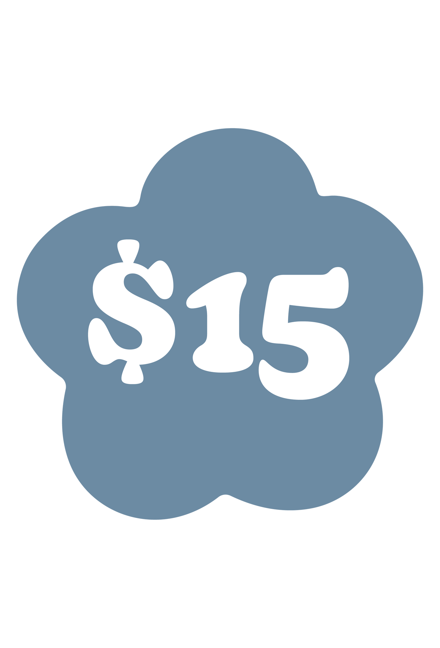 $15 PERIOD POVERTY DONATION
