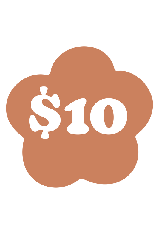 $10 PERIOD POVERTY DONATION