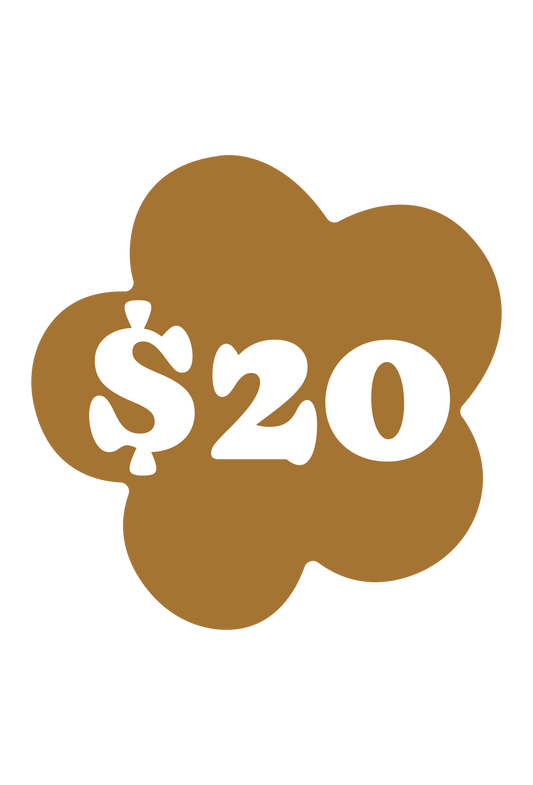 $20 PERIOD POVERTY DONATION